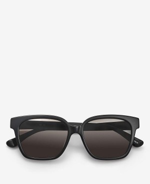 Barbour Square Sunglasses Sort | BABO90127